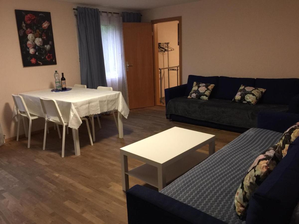 2 Rooms Cosy Apartment Near Liechtenstein Haag 外观 照片